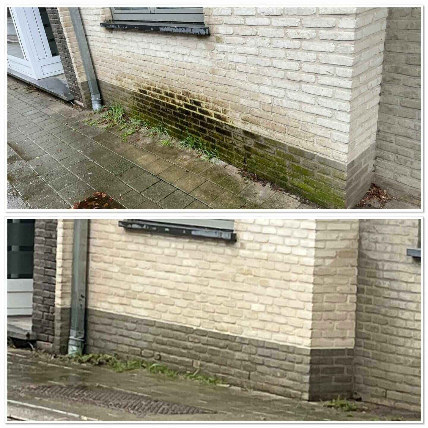 339435836_460387416240704_7778453805953083178_n